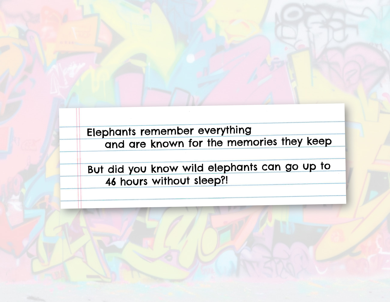Book spread with the elephant fact: wild elephants can go up to 46 hours without sleep.